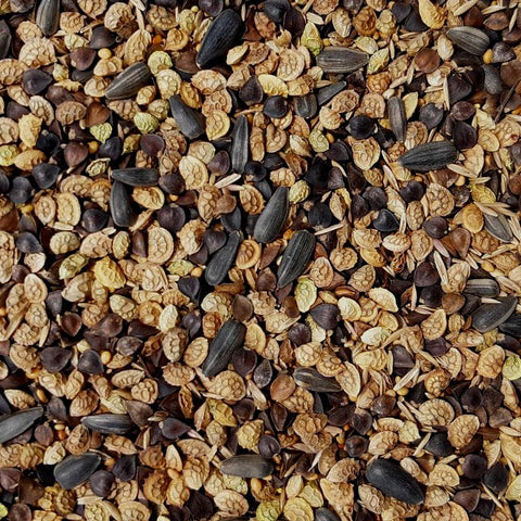 Bees & Butterfly Cover Crop Seed