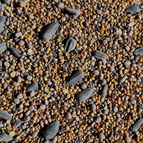 Pollinator Mix