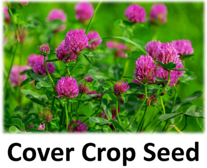 Cover Crop and Green Manure Seed