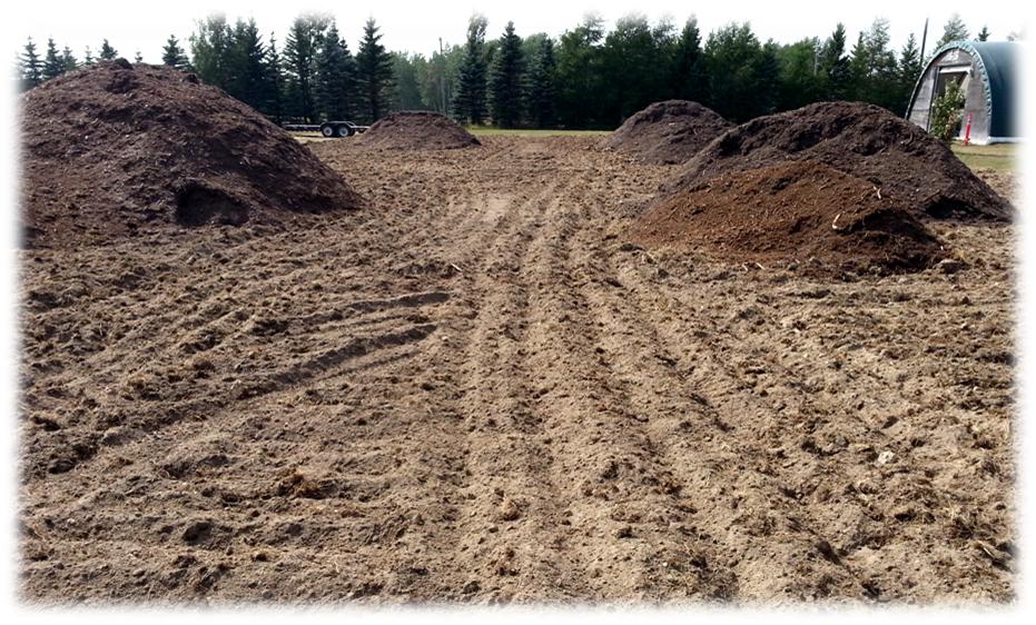How to Fertilize Your Garlic Properly  John Boy Farms