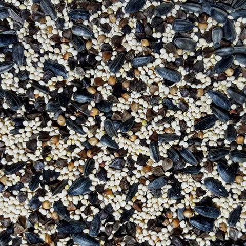 Cover Crop Seed Mixes