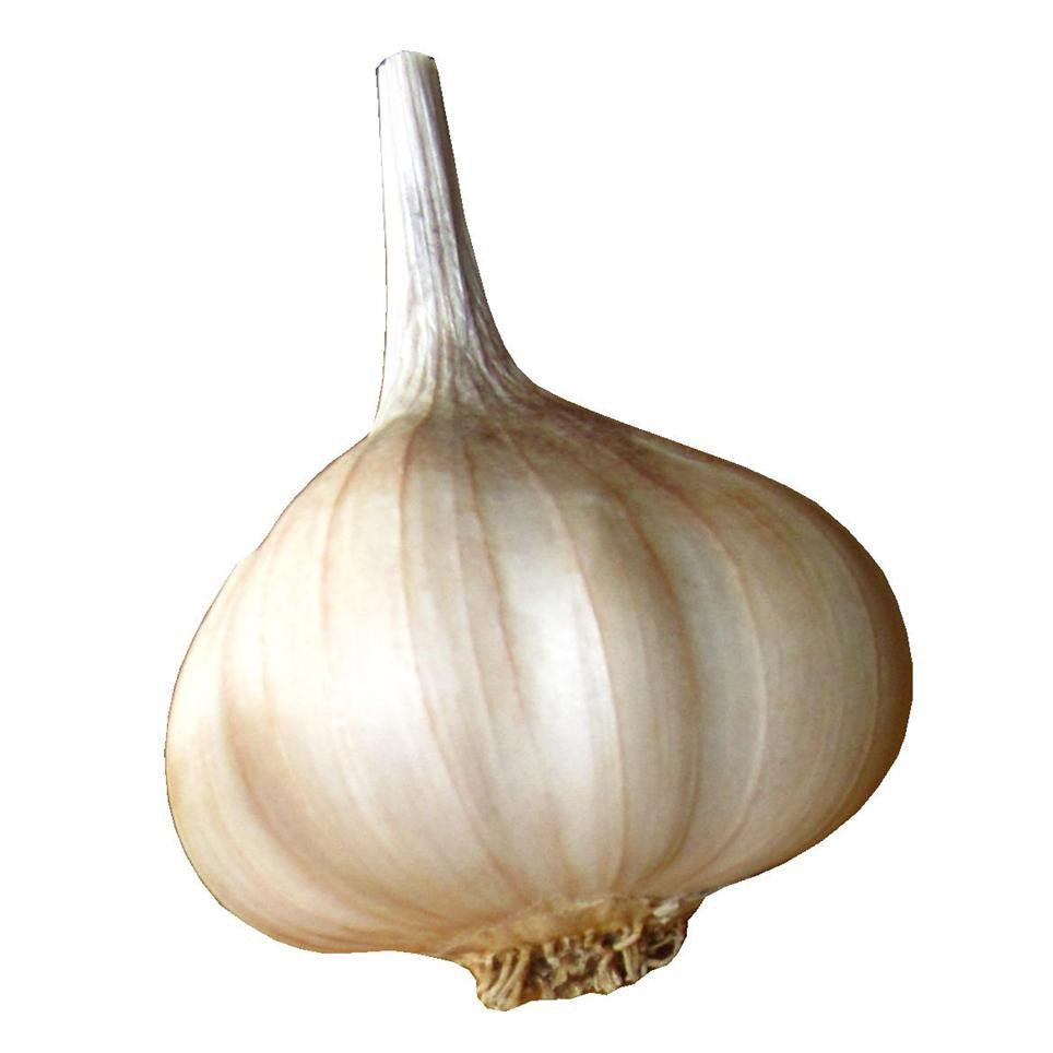 ARTICHOKE (SOFTNECK) GARLIC
