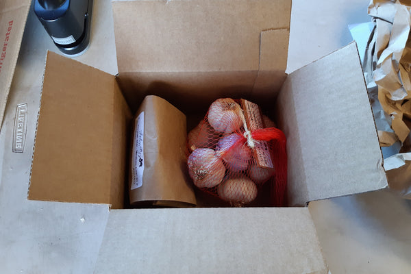 Open cardboard box with mesh bag of garlic inside