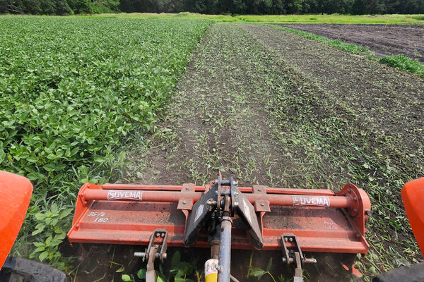 Farm tractor tilling a green manure field of soybeans