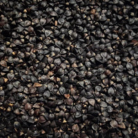 Buckwheat Cover Crop Seed