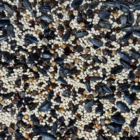 Garden Cover Crop Seeds