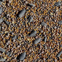 Pollinator Mix