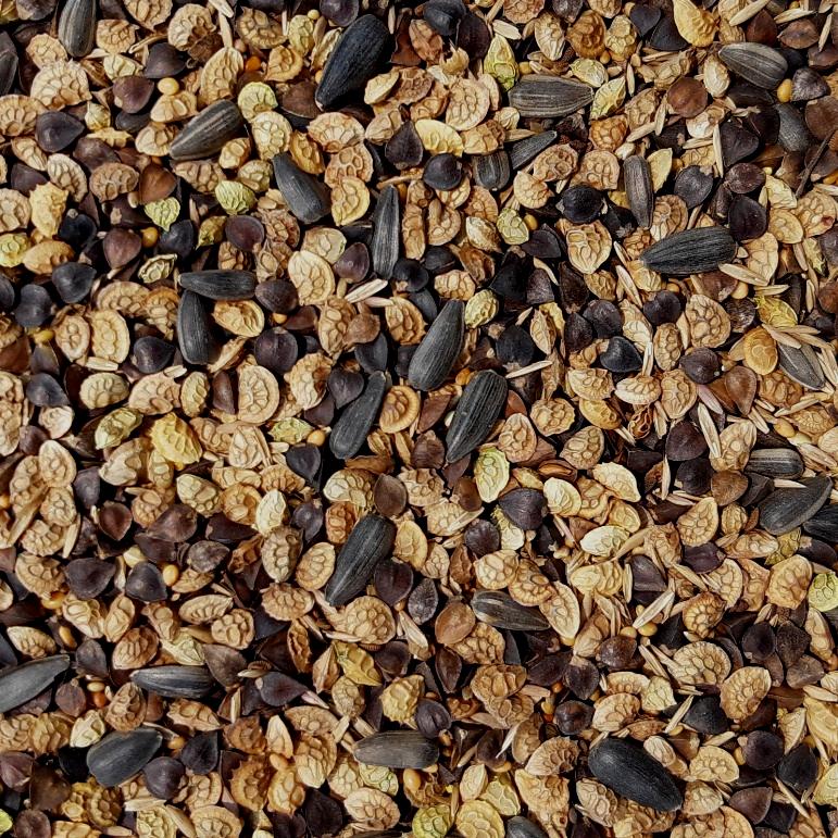 Bees & Butterfly Cover Crop Seed