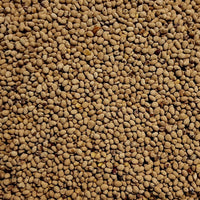 Red Clover Cover Crop Seed